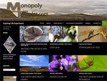 Tablet Screenshot of monopolytraveler.com